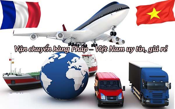 VẬN CHUYỂN TỔ YẾN ĐỒNG NAI ĐẾN PHÁP NHANH CHÓNG