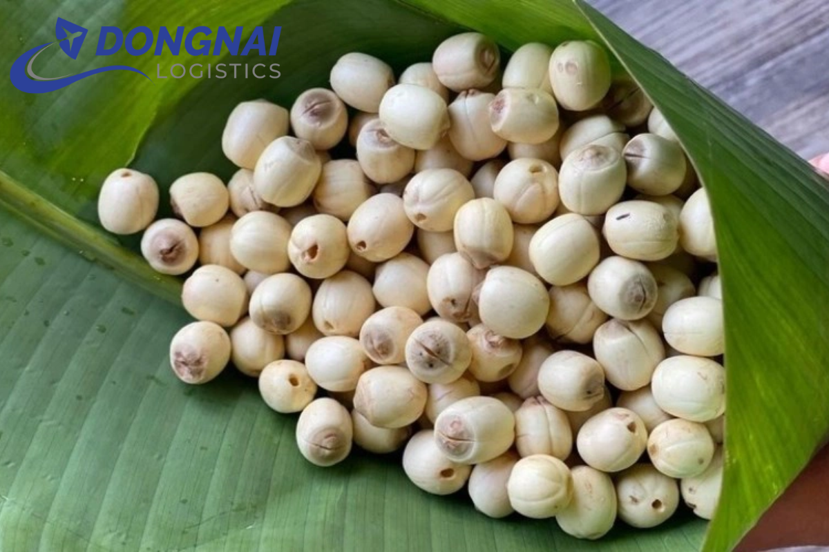 GỬI HẠT SEN TỪ VIỆT NAM ĐI NHẬT BẢN – DỊCH VỤ AN TOÀN CÙNG DONGNAI LOGISTICS