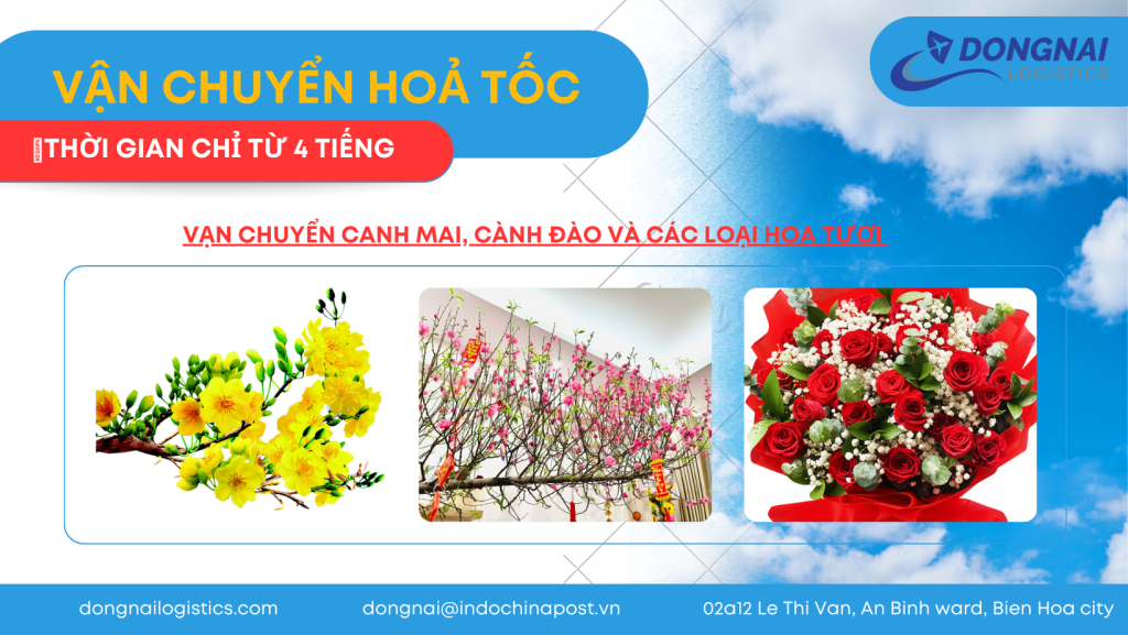 Top 5 Loại Hoa Tươi Được Ưa Chuộng Nhất Ngày Tết Tại Miền Bắc