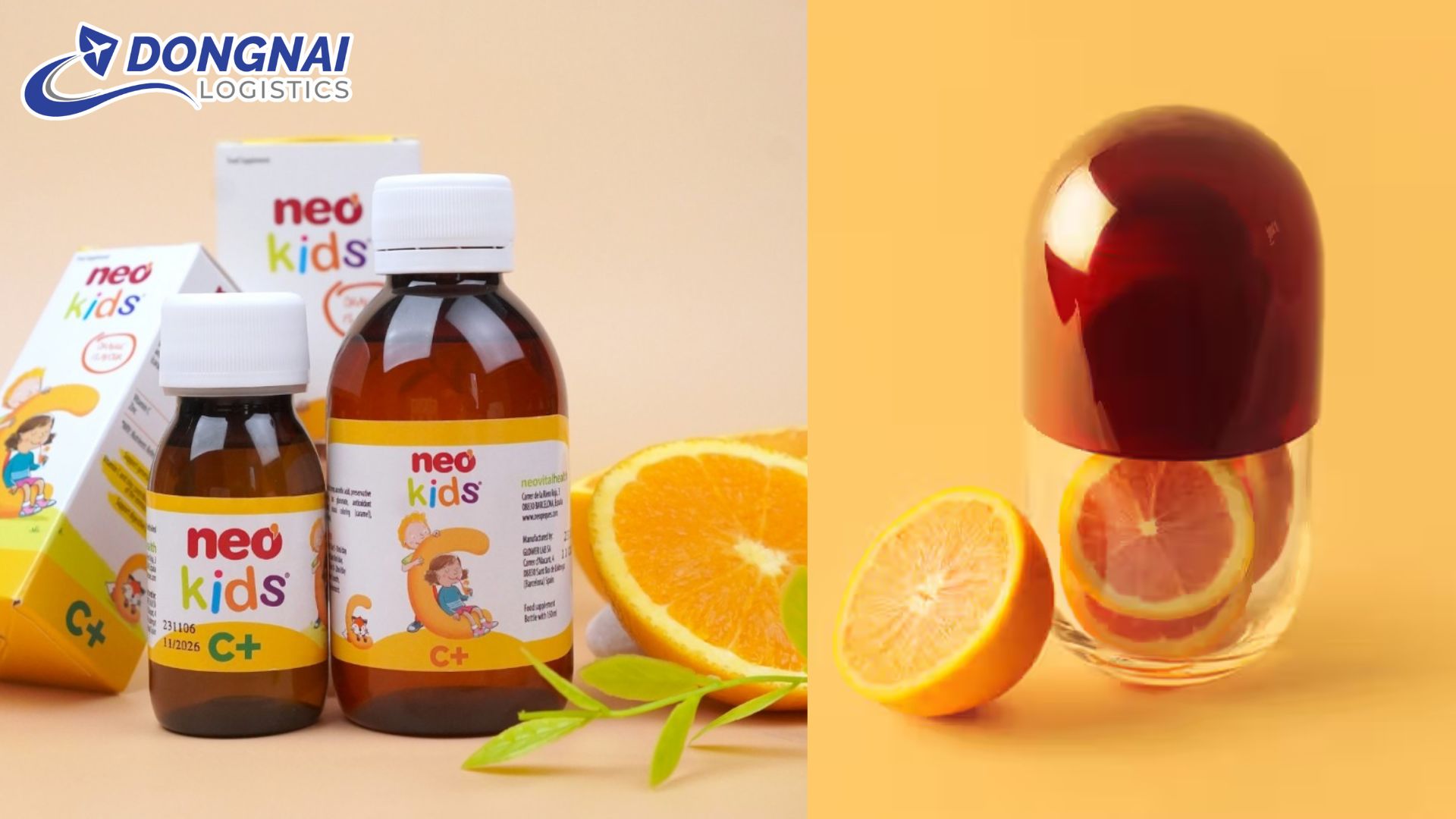 Vitamin C – Dưỡng Chất Quan Trọng Cho Sức Khỏe