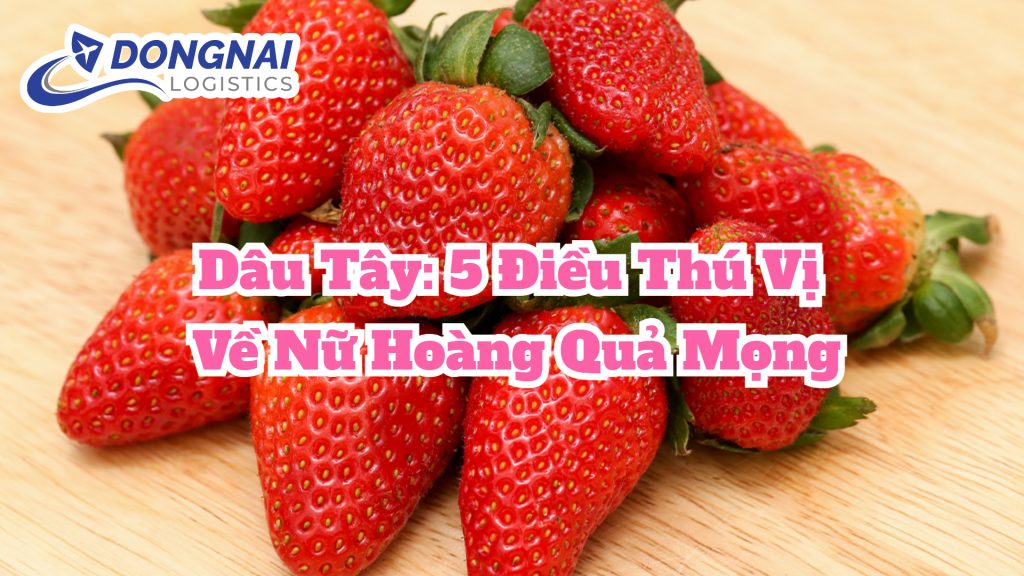 Dâu Tây: 5 Điều Thú Vị Về Nữ Hoàng Quả Mọng