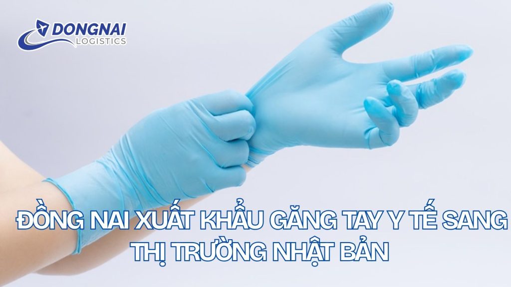 Đồng Nai xuất khẩu găng tay y tế sang Nhật Bản