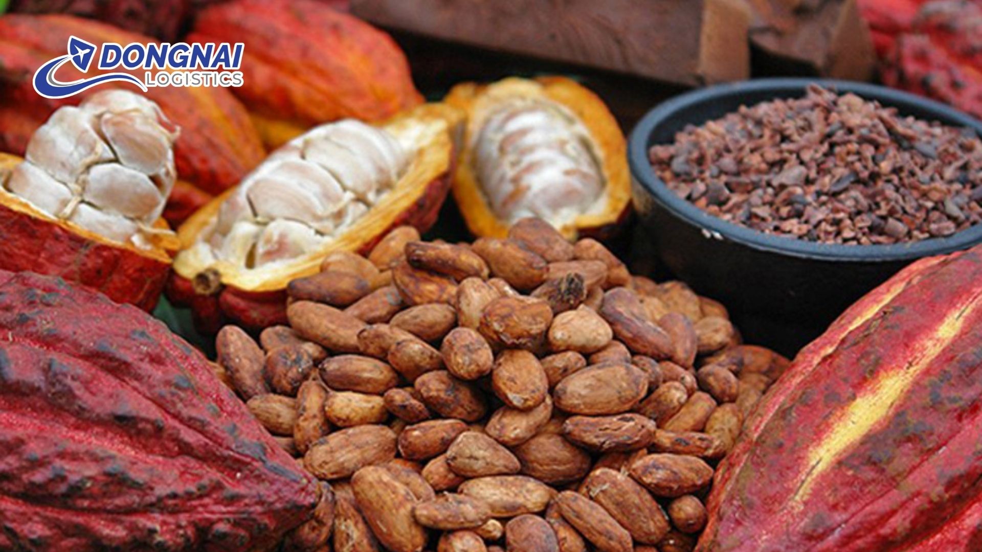 Bước tiến mới cho nông nghiệp Đồng Nai với ca cao xuất khẩu sang thị trường Bỉ