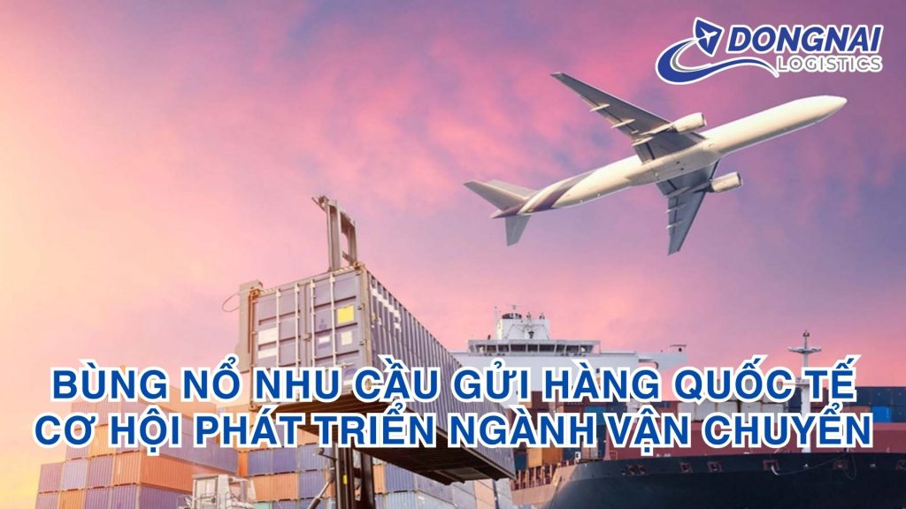 Sự bùng nổ nhu cầu gửi hàng quốc tế tại Việt Nam và cơ hội phát triển ngành vận chuyển