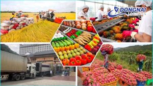Xuất Khẩu Rau Củ Quả Tươi Từ Đồng Nai Sang Trung Quốc Qua Cửa Khẩu Lạng Sơn