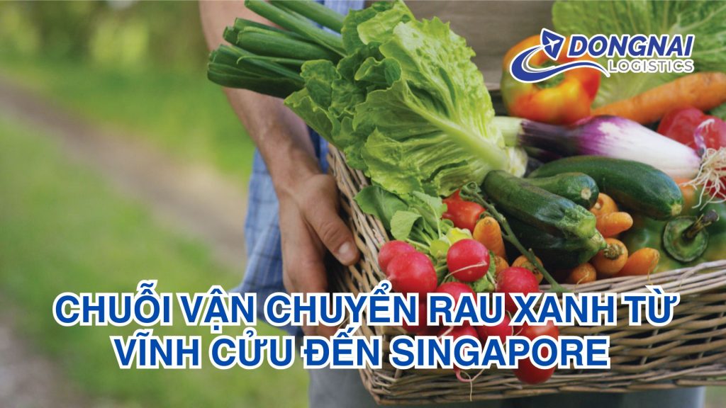 Chuỗi Vận Chuyển Rau Xanh Từ Vĩnh Cửu Đến Singapore