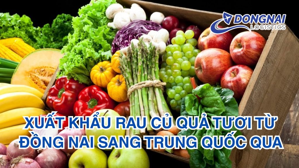 Xuất Khẩu Rau Củ Quả Tươi Từ Đồng Nai Sang Trung Quốc Qua Cửa Khẩu Lạng Sơn