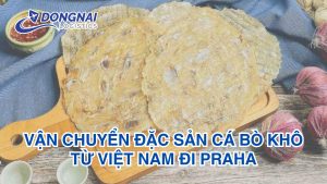 Vận chuyển đặc sản cá bò khô từ Việt Nam đi Praha
