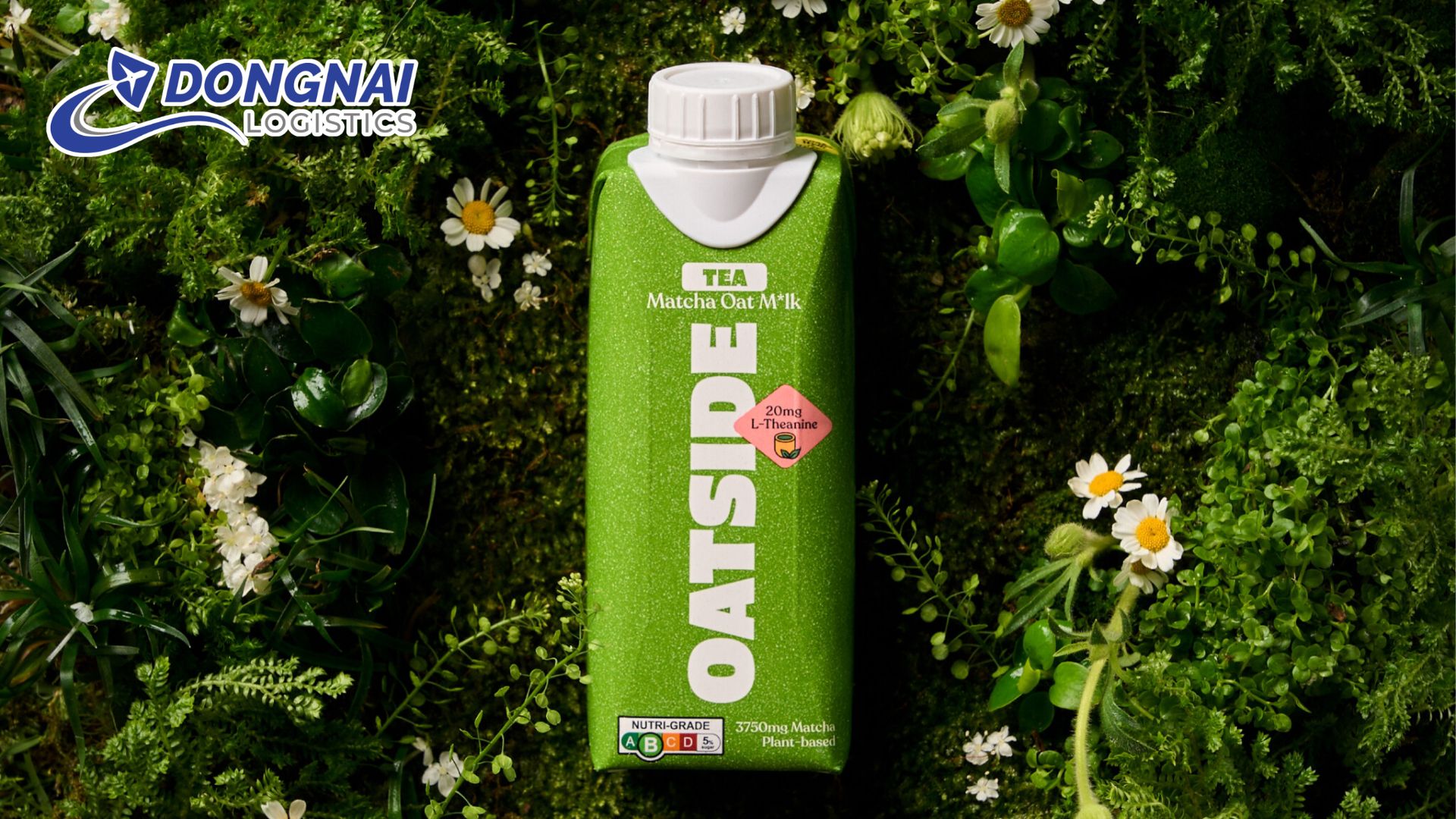 Oatside Matcha Làn sóng mới cho xu hướng sống xanh