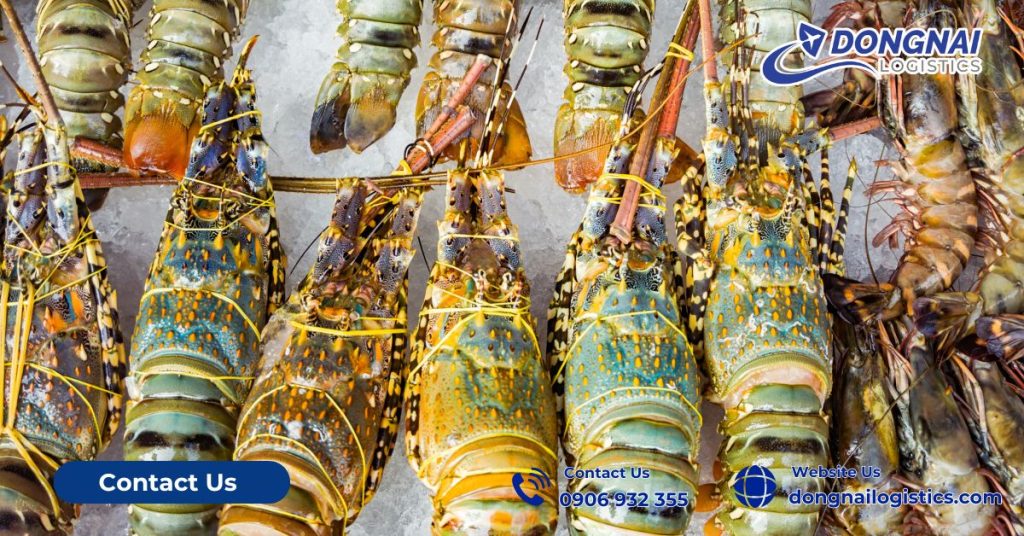 Yêu Cầu Đối Với Thủy Sản Sống Xuất Khẩu Sang Trung Quốc