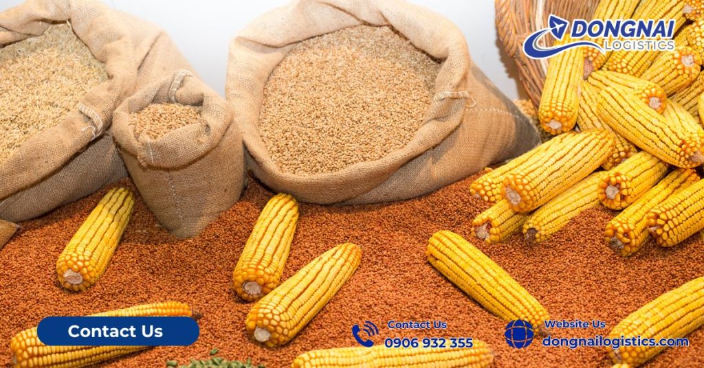 Trung Quốc - Thị Trường Tỷ USD Của Nông Sản Việt