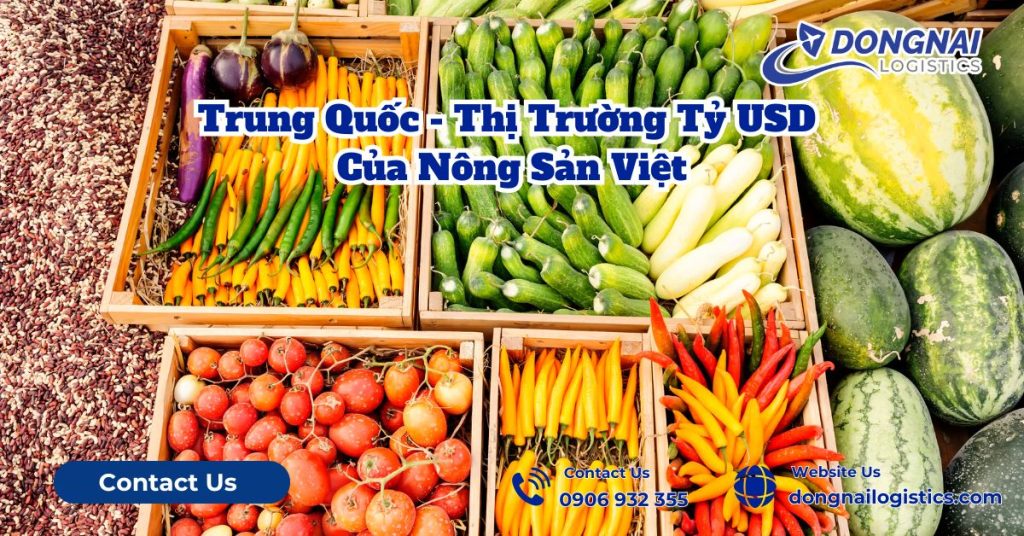 Trung Quốc - Thị Trường Tỷ USD Của Nông Sản Việt