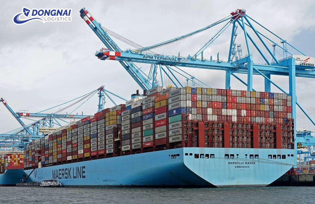 Tương Lai của Ngành Vận Tải Biển trong Bối Cảnh Biến Đổi Khí Hậu