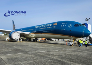 Tăng Cường Giải Pháp Đảm Bảo An Toàn Khai Thác Sân Bay Tân Sơn Nhất