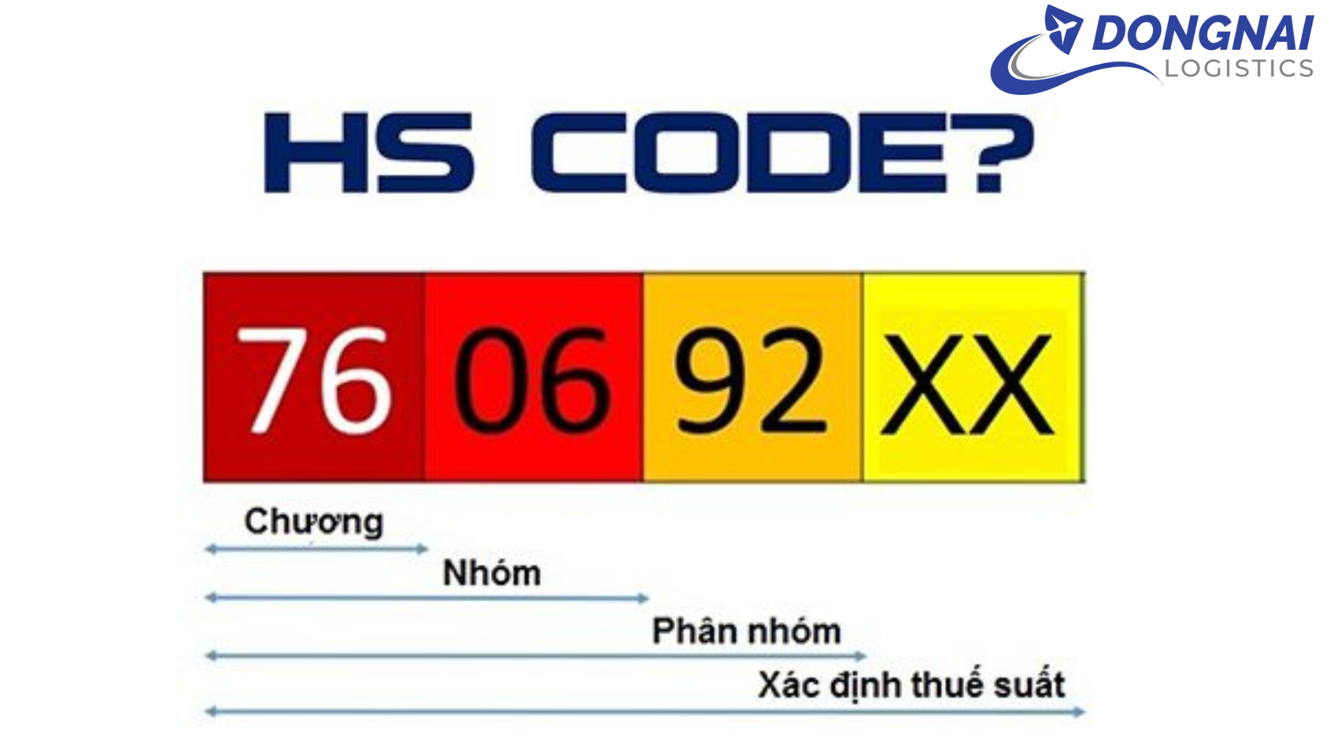 Các mã HS thường dùng khi gửi hàng đi EU – cần nhớ những gì?