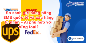 So sánh gửi hàng bằng EMS quốc tế và các hãng tư nhân – Ai phù hợp với từng loại?