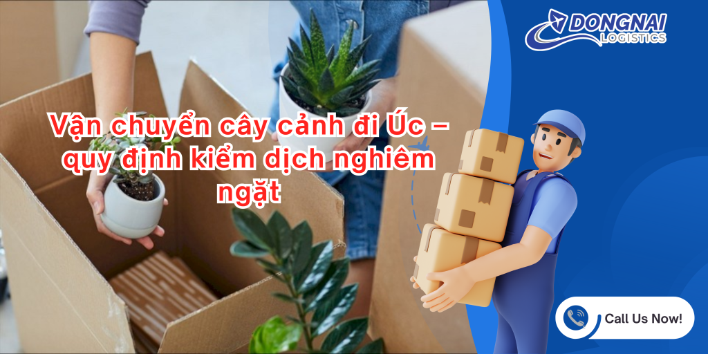 Vận chuyển cây cảnh đi Úc – quy định kiểm dịch nghiêm ngặt