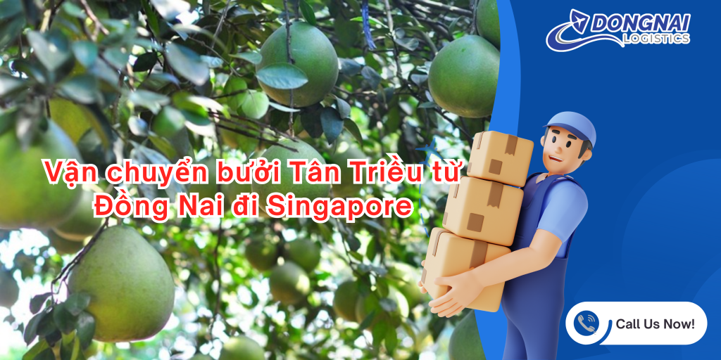 Vận chuyển bưởi Tân Triều từ Đồng Nai đi Singapore