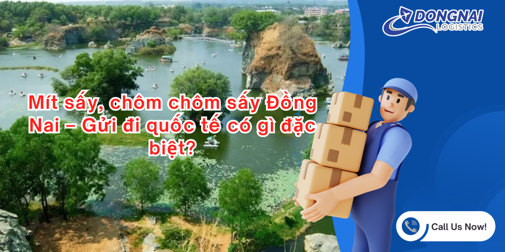 Mít sấy, chôm chôm sấy Đồng Nai – Gửi đi quốc tế có gì đặc biệt?