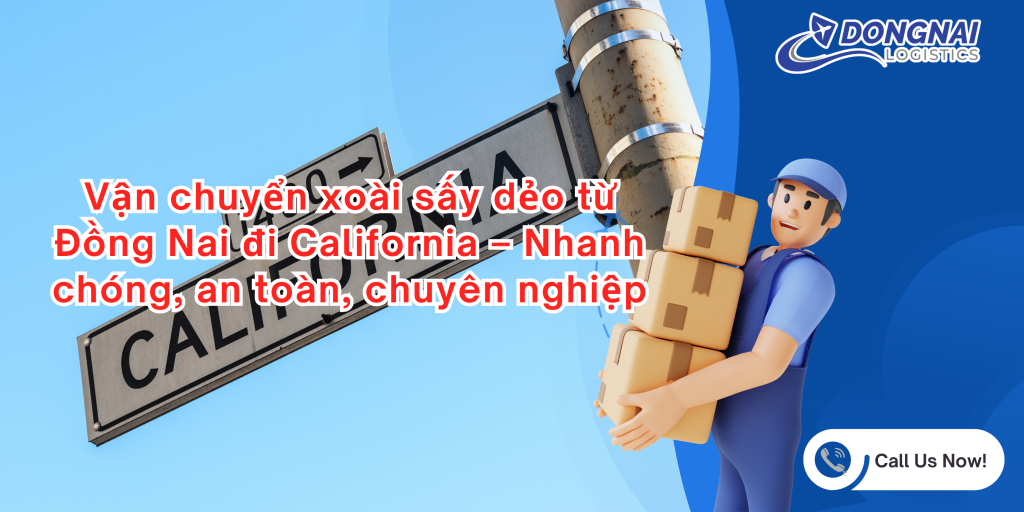 Vận chuyển xoài sấy dẻo từ Đồng Nai đi California
