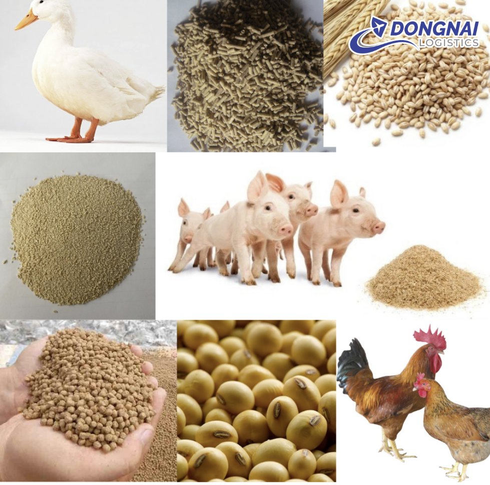 VẬN CHUYỂN THỨC ĂN CHĂN NUÔI