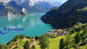 Gửi sách châu Âu