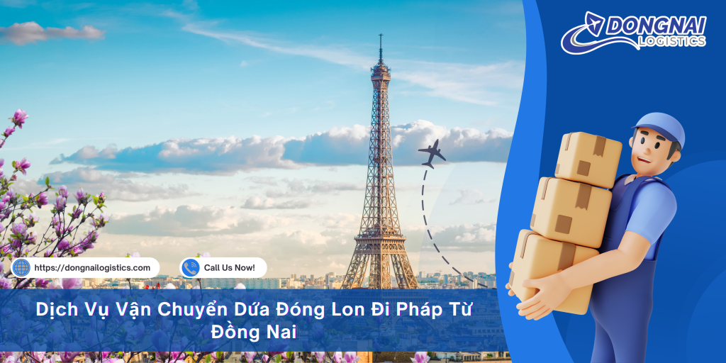 Dịch Vụ Vận Chuyển Dứa Đóng Lon Đi Pháp Từ Đồng Nai