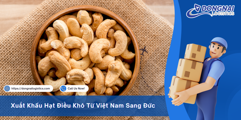Xuất Khẩu Hạt Điều Khô Từ Việt Nam Sang Đức