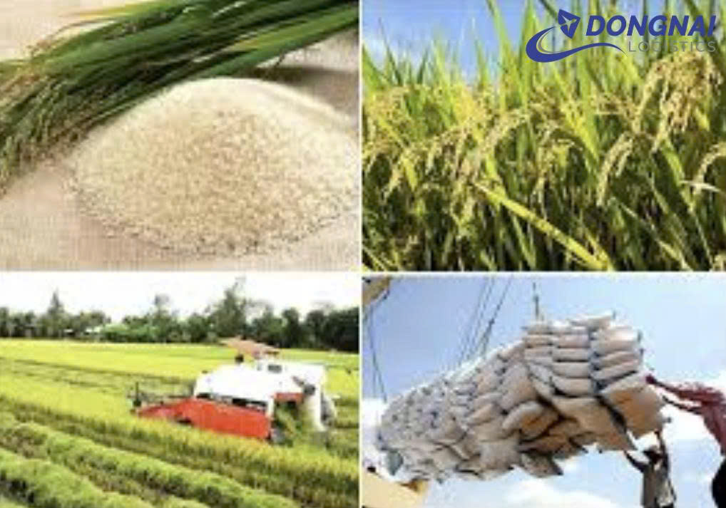 Vận chuyển gạo từ Việt sang Đài Loan