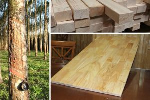 Vận chuyển gỗ cao su đi Trung quốc