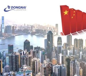 Vận chuyển gỗ cao su đi Trung quốc