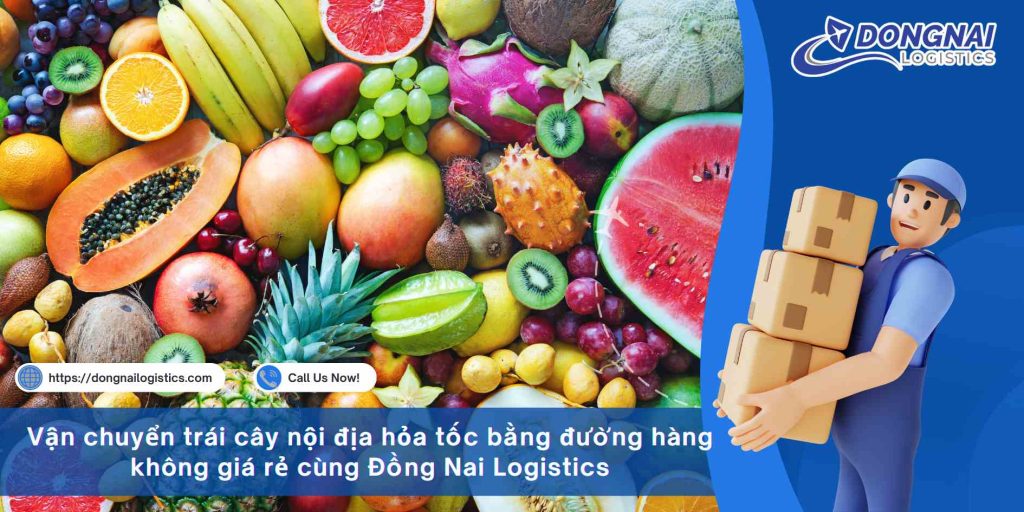 Vận chuyển trái cây nội địa hỏa tốc bằng đường hàng không giá rẻ cùng Đồng Nai Logistics