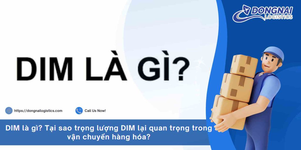 DIM là gì? Tại sao trọng lượng DIM lại quan trọng trong vận chuyển hàng hóa?