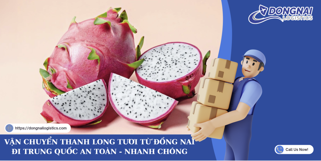 Vận Chuyển Thanh Long Tươi Từ Đồng Nai Đi Trung Quốc