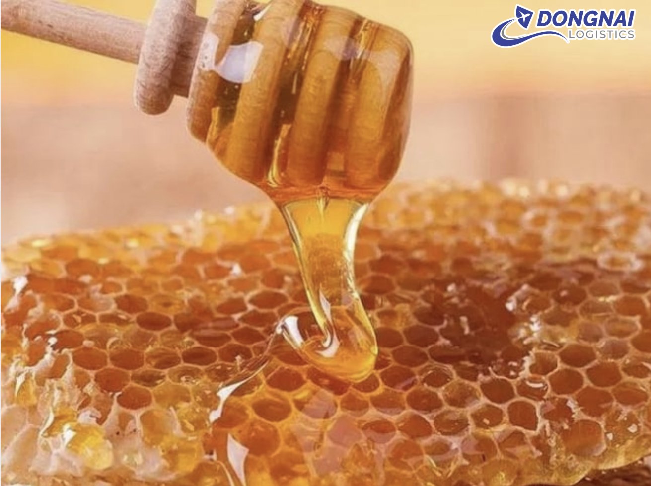 NHẬT BẢN - THỊ TRƯỜNG TIỀM NĂNG CHO NGÀNH MẬT ONG