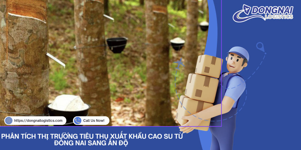XUẤT KHẨU SAO SU TỪ ĐỒNG NAI SANG ẤN ĐỘ