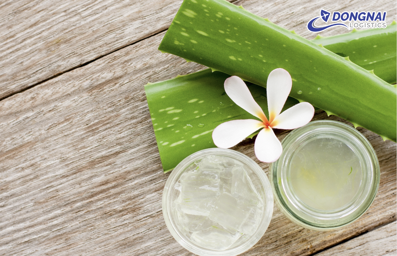 XUẤT KHẨU THỰC PHẨM CHẾ BIẾN TỪ NHA ĐAM VÀ THẠCH DỪA ĐỒNG NAI SANG HÀN QUỐC