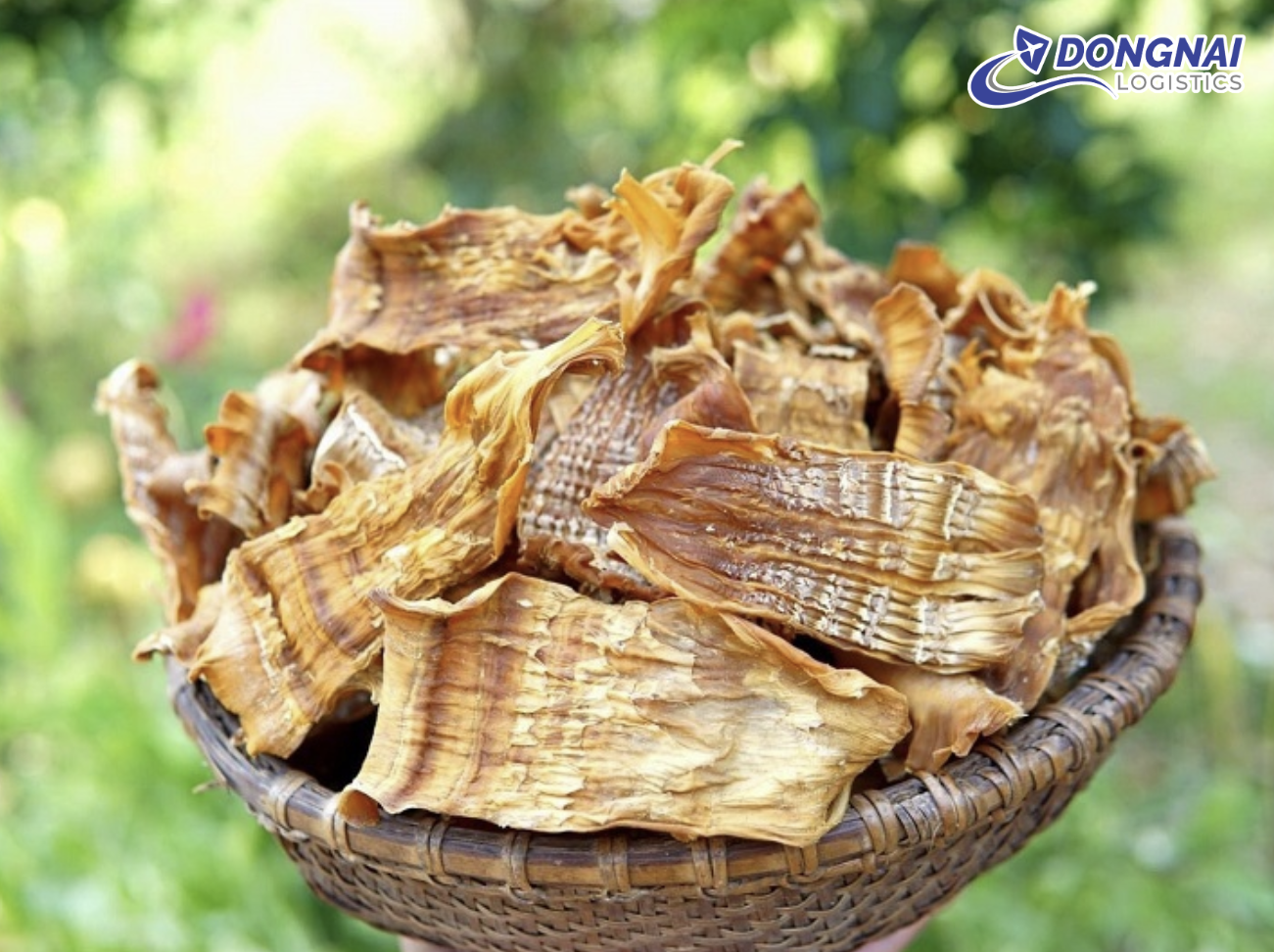 QUY TRÌNH VẬN CHUYỂN MĂNG KHÔ TỪ VIỆT NAM SANG NHẬT BẢN