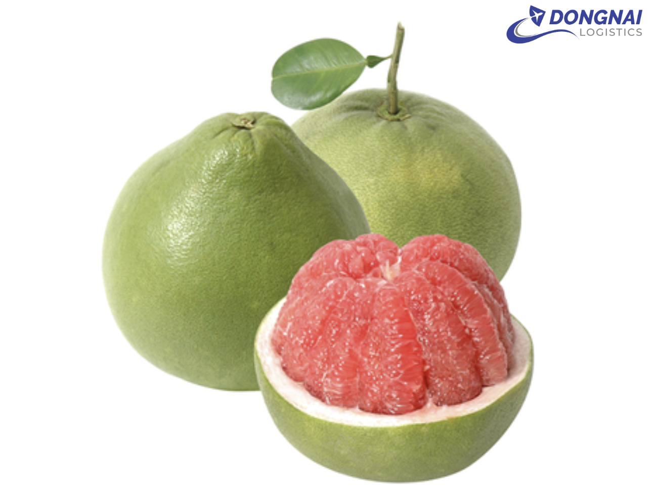 XUẤT KHẨU BƯỞI DA XANH TỪ ĐỒNG NAI SANG THÁI LAN