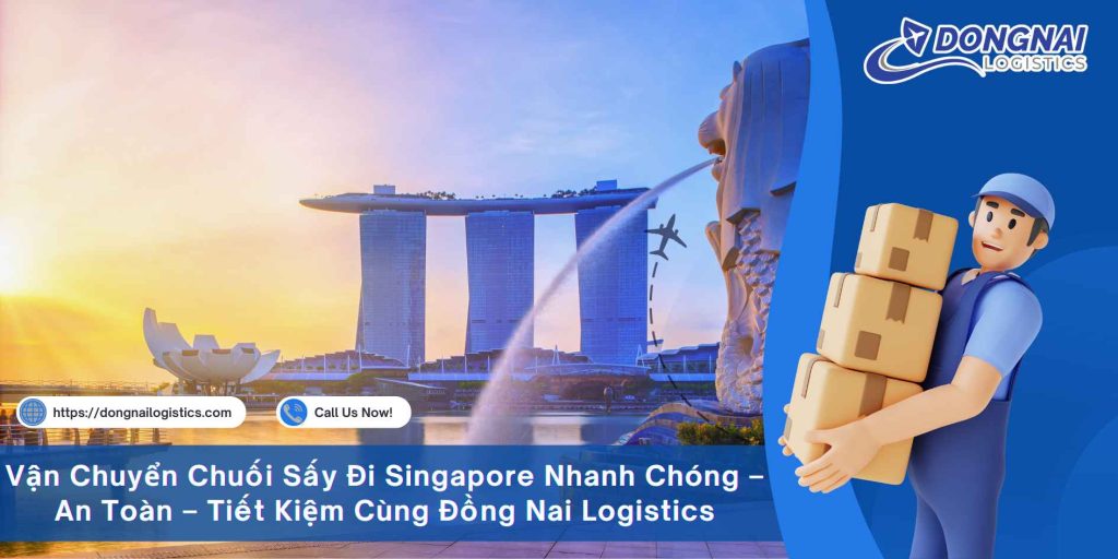 Vận Chuyển Chuối Sấy Đi Singapore Nhanh Chóng – An Toàn – Tiết Kiệm Cùng Đồng Nai Logistics