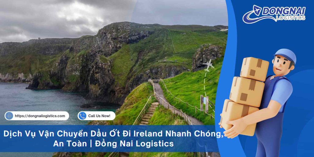 Dịch Vụ Vận Chuyển Dầu Ớt Đi Ireland Nhanh Chóng, An Toàn | Đồng Nai Logistics