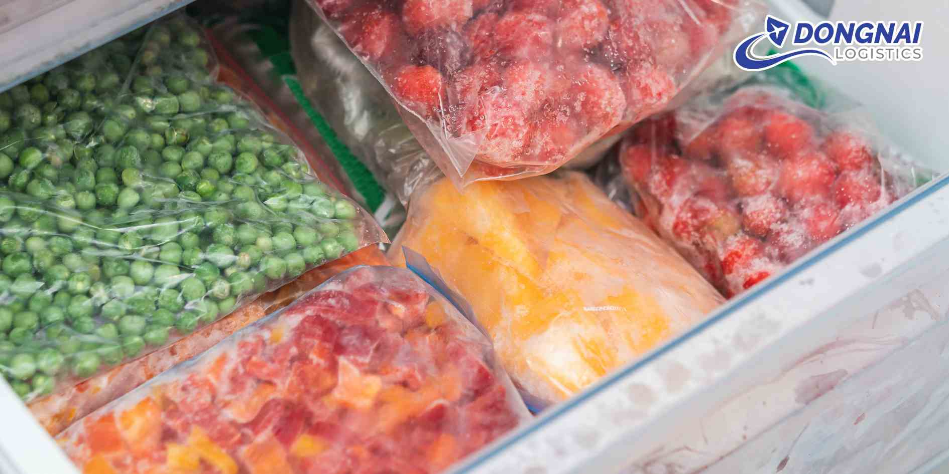 Chuyển phát nhanh thủy hải sản đông lạnh từ Đồng Nai ra Hà Nội – An toàn, nhanh chóng