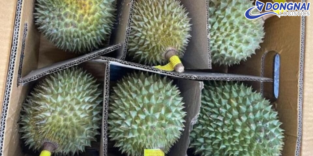 Vận Chuyển Sầu Riêng Từ Đồng Nai Đi Hà Nội