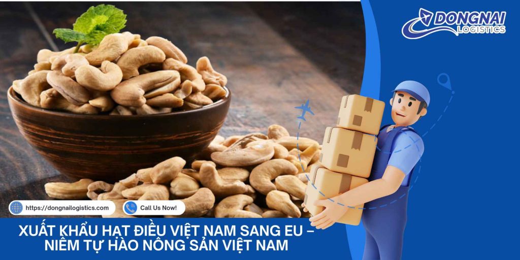 Xuất Khẩu Hạt Điều Việt Nam Sang EU – Niềm Tự Hào Nông Sản Việt Nam