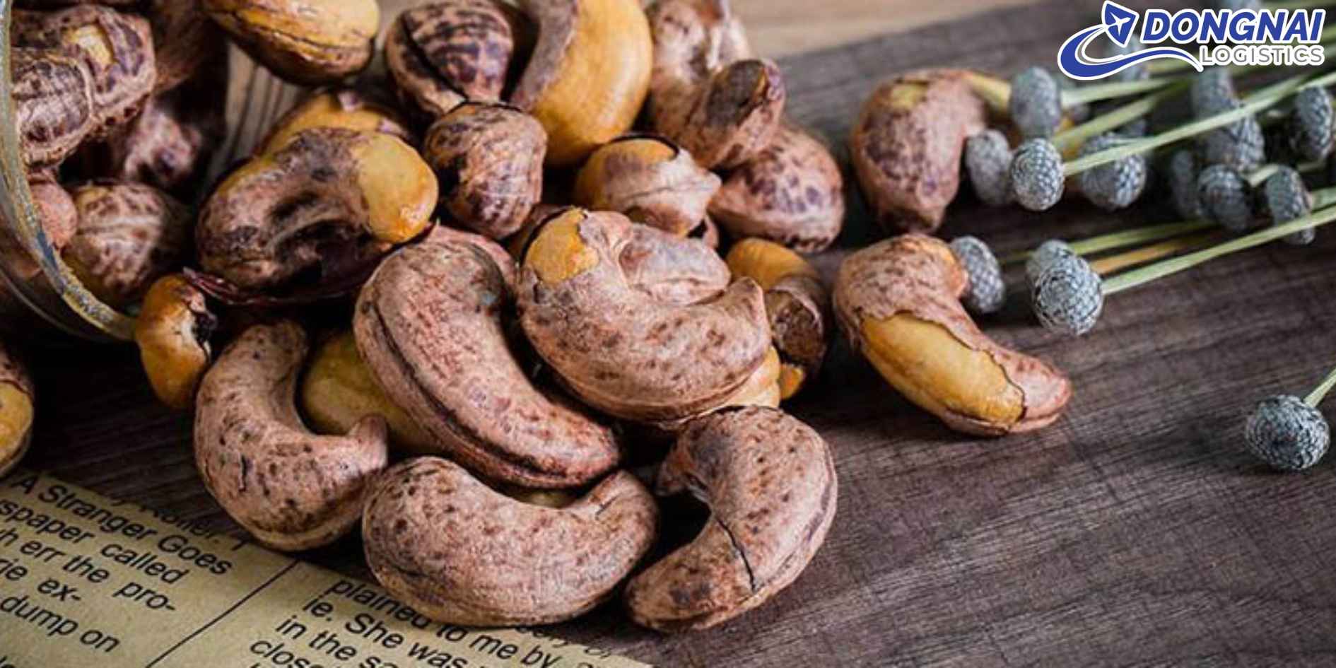 Xuất Khẩu Hạt Điều Việt Nam Sang EU – Niềm Tự Hào Nông Sản Việt Nam