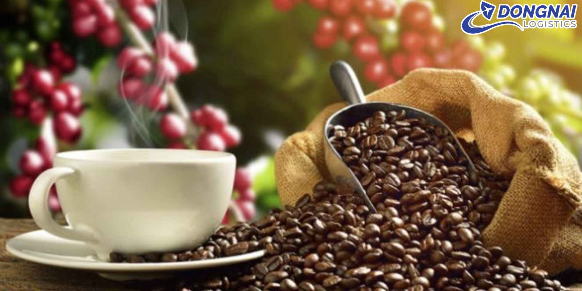 Gửi Cà Phê Buôn Ma Thuột Đi Nhật Bản – Hương Đậm Núi Rừng Tây Nguyên