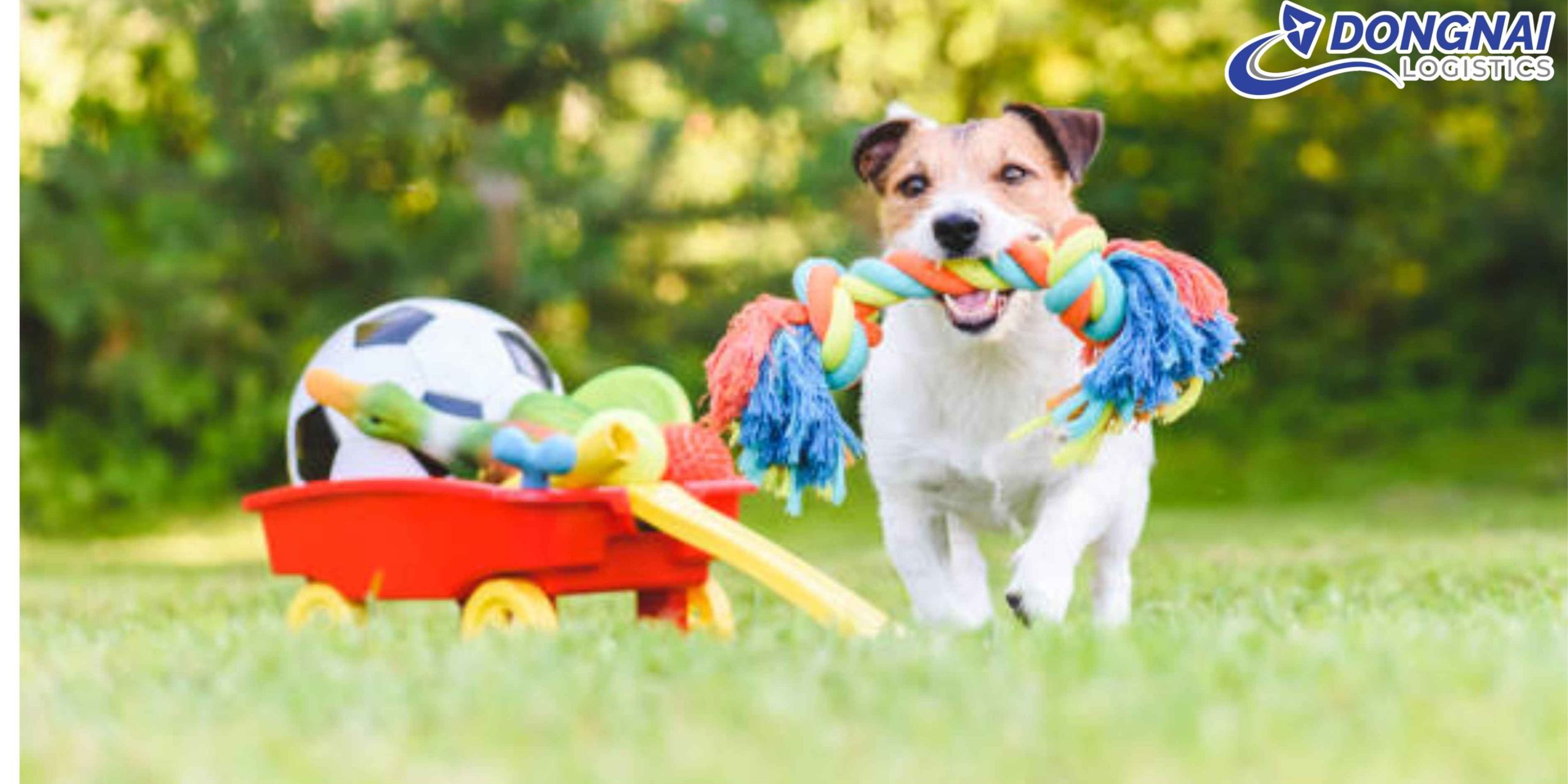 GỬI ĐỒ CHƠI THÚ CƯNG TỪ VIỆT NAM SANG MỸ