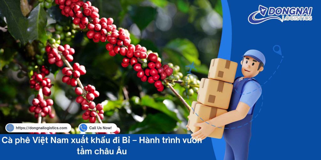 Cà phê Việt Nam xuất khẩu đi Bỉ – Hành trình vươn tầm châu Âu