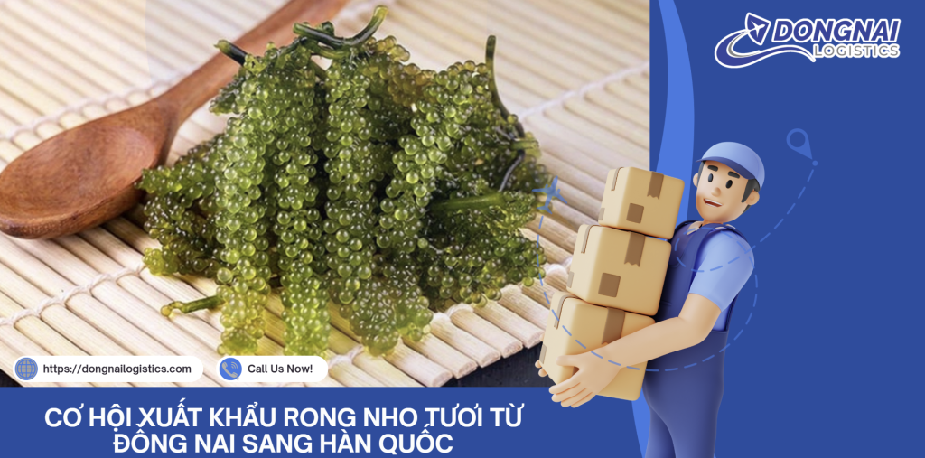 CƠ HỘI XUẤT KHẨU RONG NHO TƯƠI TỪ ĐỒNG NAI SANG HÀN QUỐC