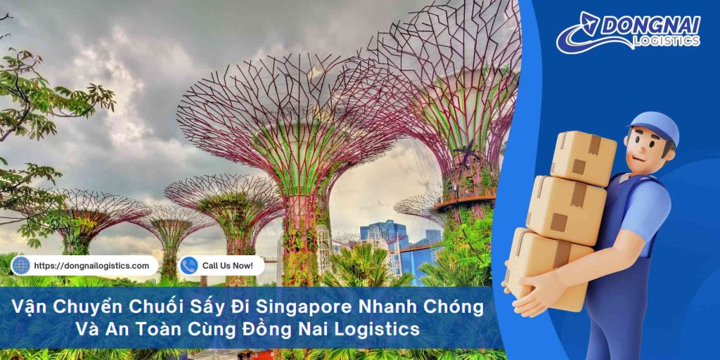 Vận Chuyển Chuối Sấy Đi Singapore Nhanh Chóng Và An Toàn Cùng Đồng Nai Logistics